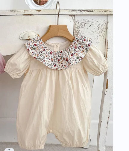 H10026 apricot